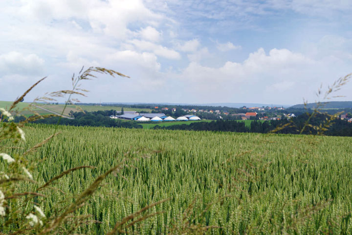 Bioenergieanlage Clodra
