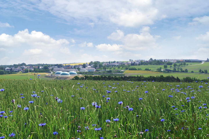 Bioenergieanlage Niederböhmersdorf