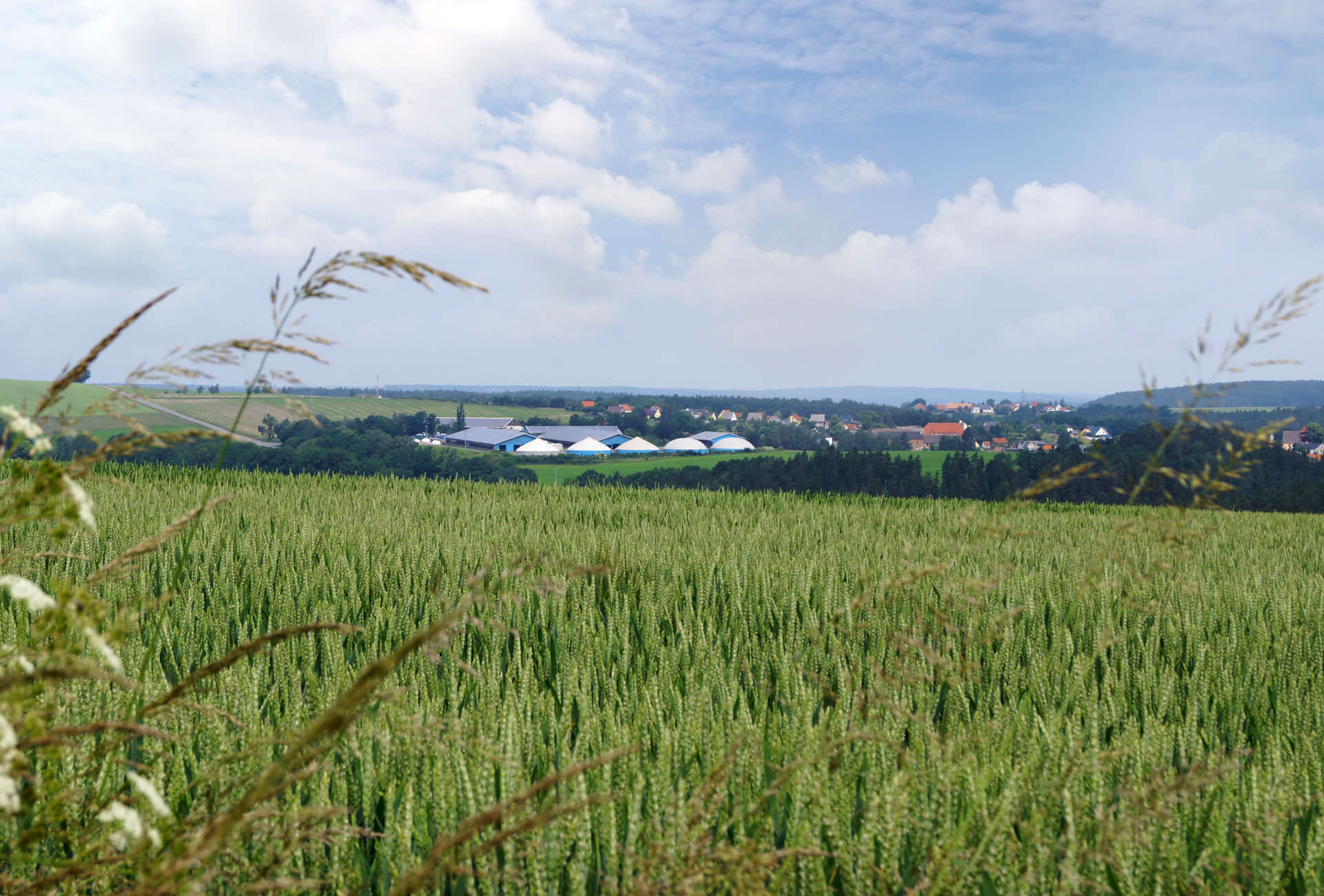 RAVESTA energie GmbH - Ihr Bioenergieerzeuger in Ostthüringen